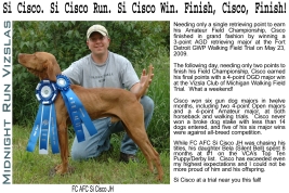 Cisco's FC & AFC Announcement