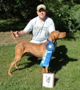 Cisco -- 1st Place, Open Gun Dog, Fort Detroit GWP Spring Walking FT 2008