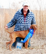 Dakota - 1s Place Open Puppy, 2nd Place Open Derby - Gateway Vizsla Club Spring FT 2011