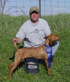 Jon & Nena -- 1st Place, Walking Derby, Vizsla Club of Michigan Field Trial, April 2007