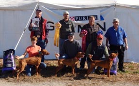 Kayla - Winner - 2013 NVA National Quail CH Derby Classic