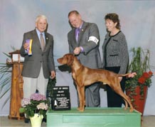 Rooster - Best of Breed 5pt Major - Fond du Lac KC