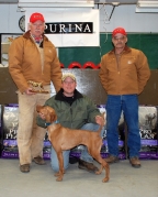 Tricky - 2nd Runner Up - 2010 Midwest Vizsla Futurity